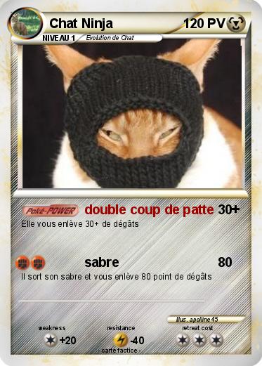 Pokemon Chat Ninja