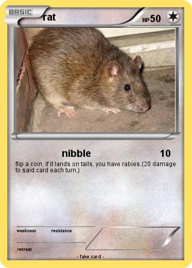 Pokemon rat