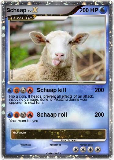 Pokemon Schaap