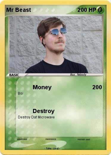 Pokemon Mr Beast