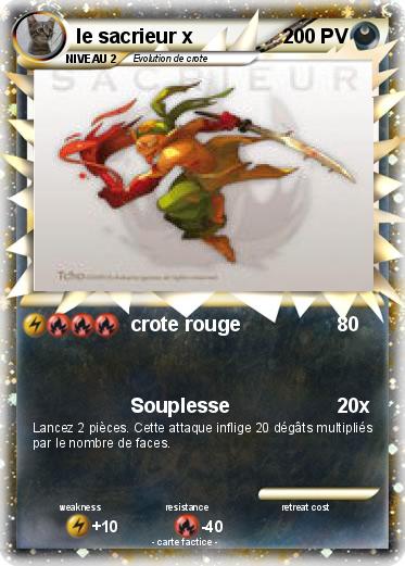 Pokemon le sacrieur x