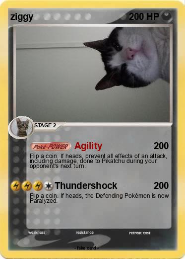 Pokemon ziggy