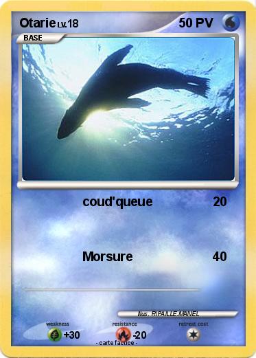 Pokemon Otarie
