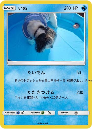 Pokemon いぬ