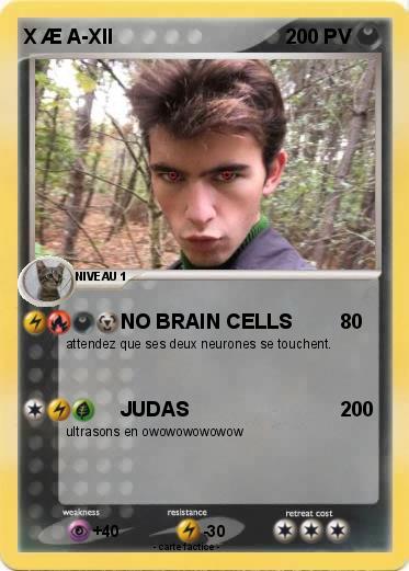 Pokemon X Æ A-XII