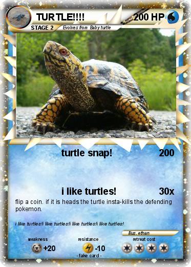Pokemon TURTLE!!!!