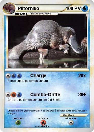 Pokemon Ptitorniko