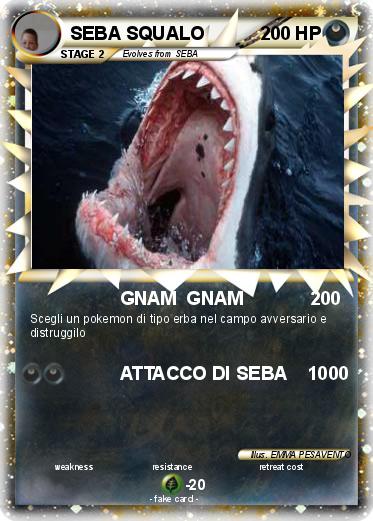 Pokemon SEBA SQUALO