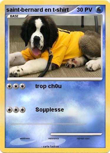 Pokemon saint-bernard en t-shirt