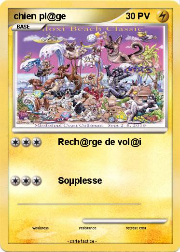 Pokemon chien pl@ge