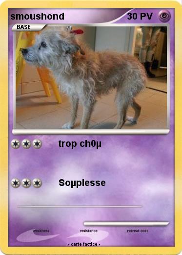 Pokemon smoushond