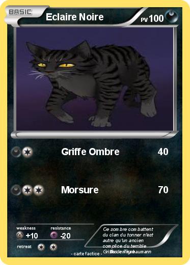 Pokemon Eclaire Noire