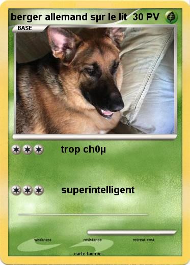 Pokemon berger allemand sµr le lit