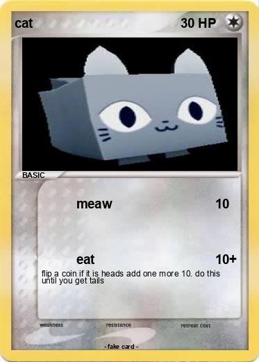 Pokemon cat