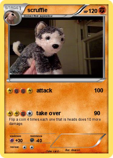 Pokemon scruffie