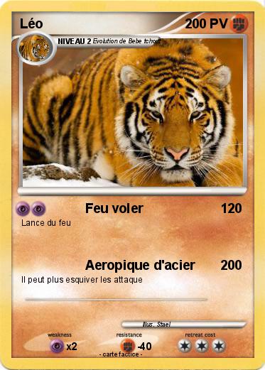 Pokemon Léo