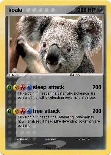 Pokemon koala