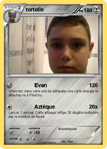 Pokemon tortolle
