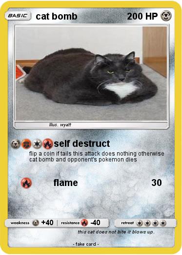 Pokemon cat bomb