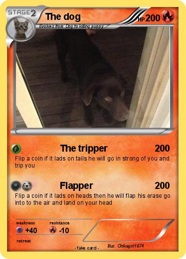 Pokemon The dog