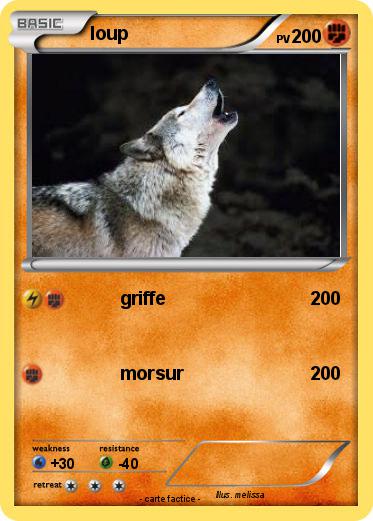 Pokemon loup