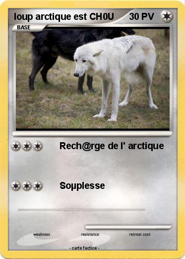 Pokemon loup arctique est CH0U