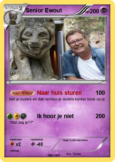 Pokemon Senior Ewout