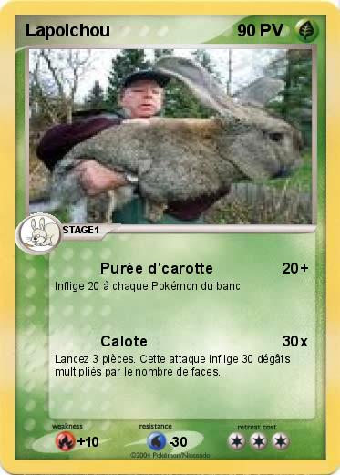 Pokemon Lapoichou