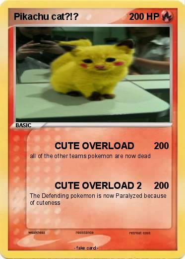 Pokemon Pikachu cat?!?
