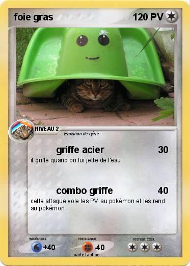 Pokemon foie gras