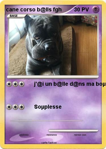 Pokemon cane corso b@lls fgh