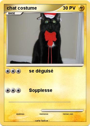 Pokemon chat costume