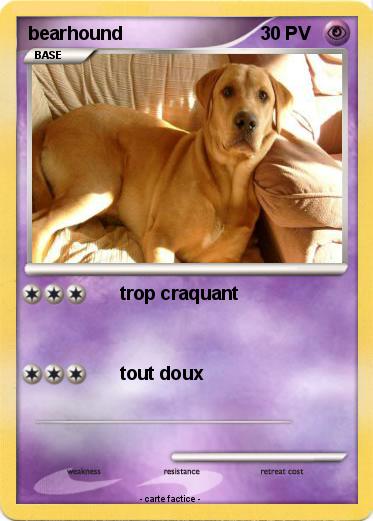 Pokemon bearhound