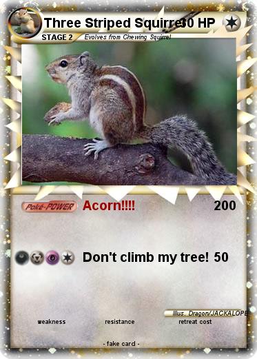 Pokemon Three Striped Squirrel