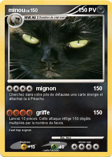 Pokemon minou