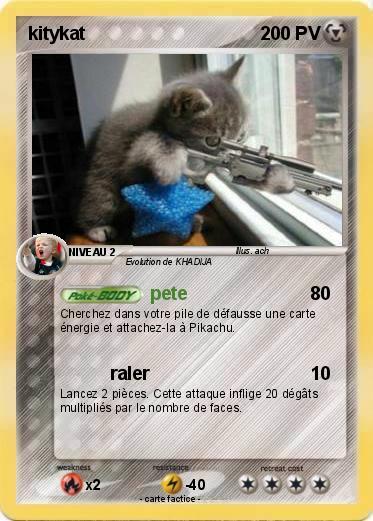 Pokemon kitykat