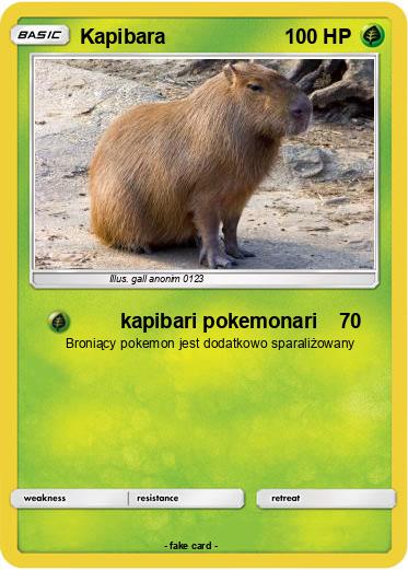 Pokemon Kapibara