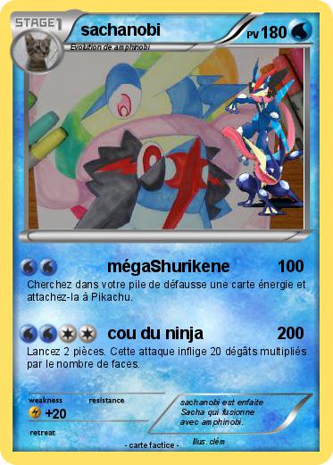 Pokemon sachanobi