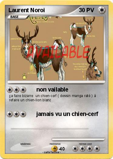 Pokemon Laurent Noroi