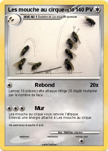 Pokemon Les mouche au cirque