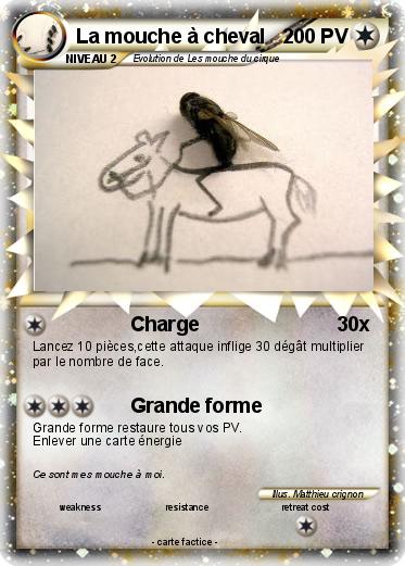 Pokemon La mouche à cheval