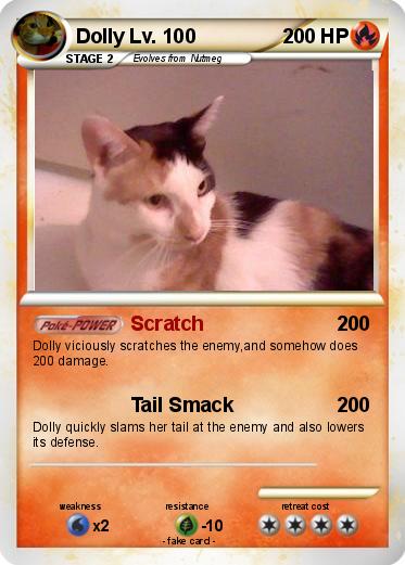Pokemon Dolly Lv. 100