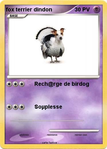 Pokemon fox terrier dindon
