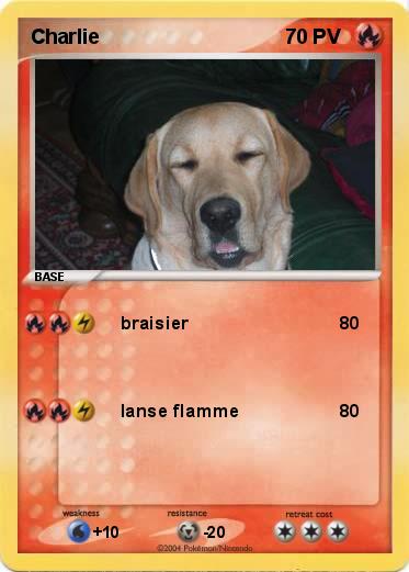 Pokemon Charlie  