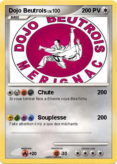 Pokemon Dojo Beutrois