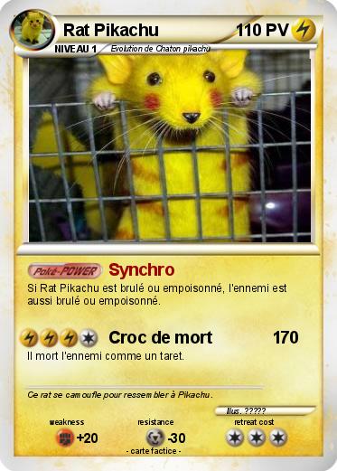Pokemon Rat Pikachu