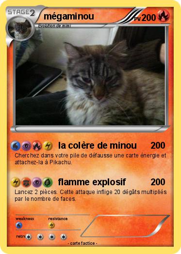 Pokemon mégaminou
