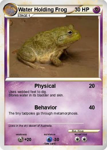 Pokemon Water Holding Frog