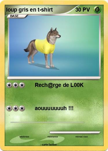 Pokemon loup gris en t-shirt