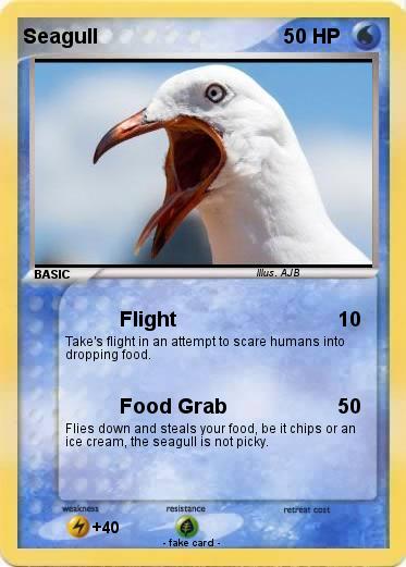 Pokemon Seagull